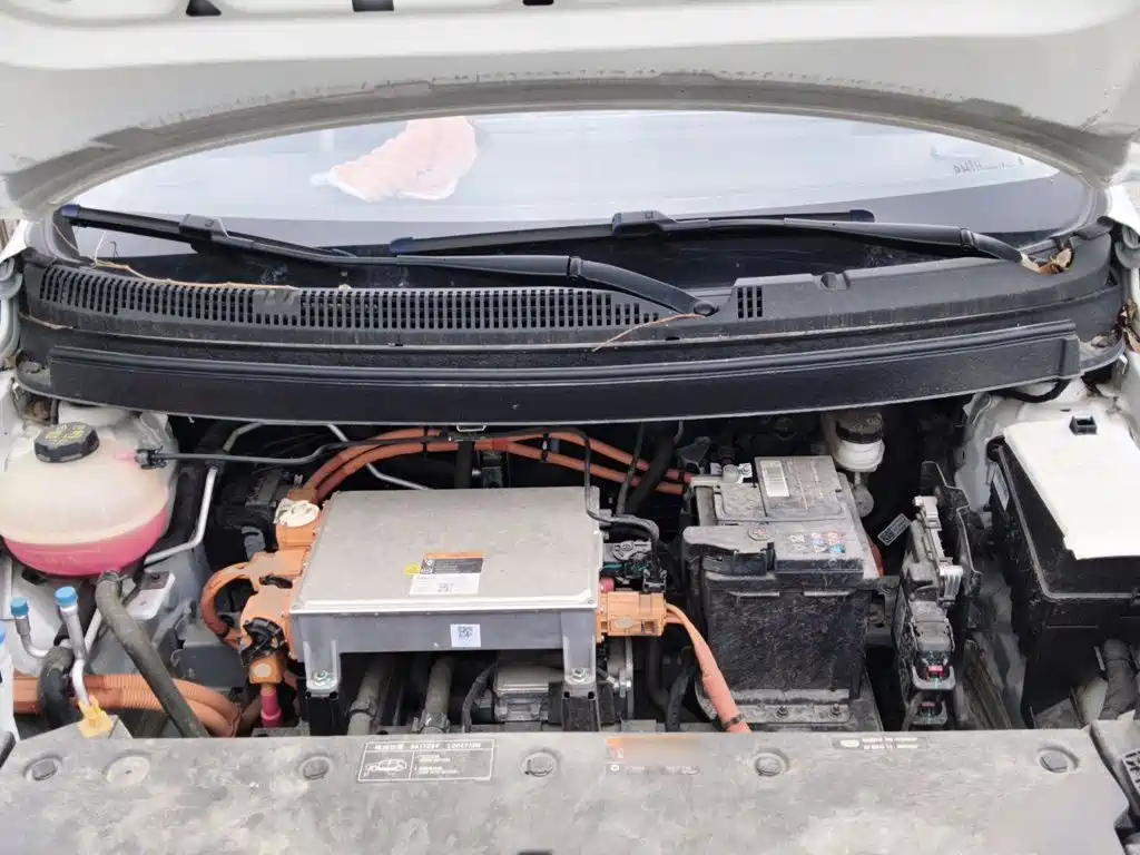 Geely Geometry E Firefly 2022 2022 320KM Well-behaved Tiger 4-seater