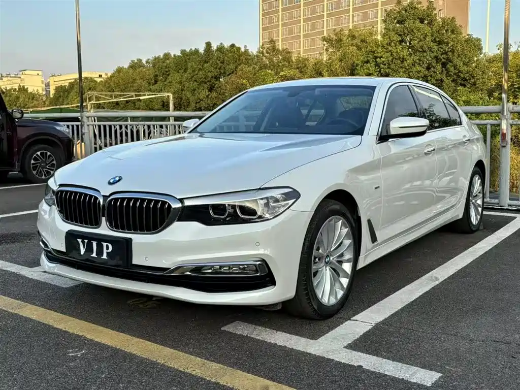 BMW 5 Series 2018 530Li xDrive Luxury Package