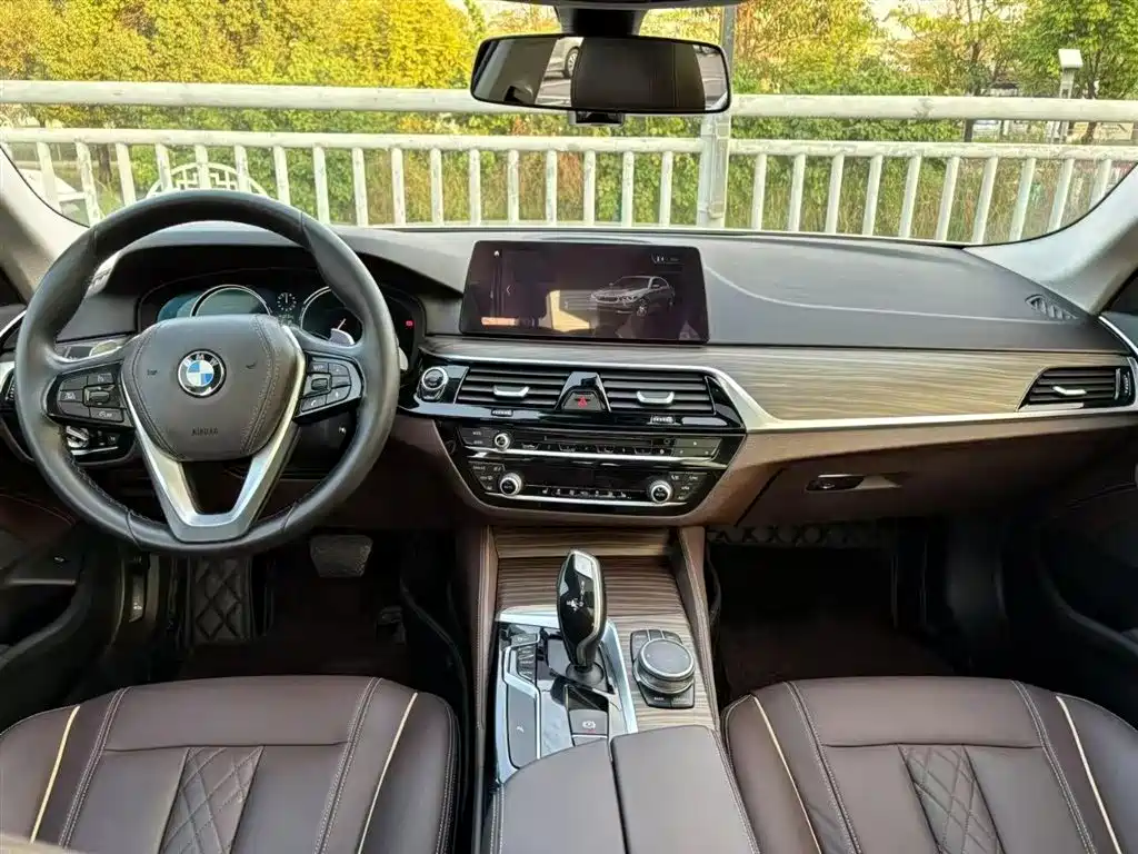 BMW 5 Series 2018 530Li xDrive Luxury Package фото 3