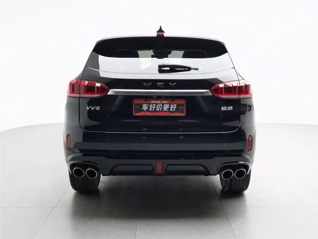 WEI PAI WEI BRAND VV6