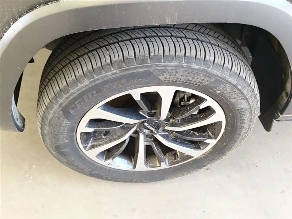 Haval H9 2024 2.0T Gasoline AWD Extreme Edition фото 23