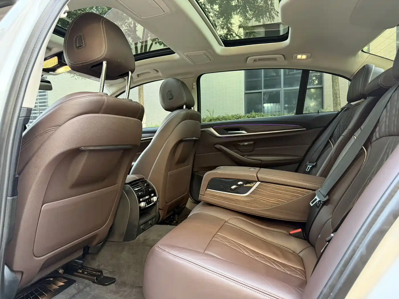 BMW 5 Series 2019 530Li xDrive Luxury Package фото 6