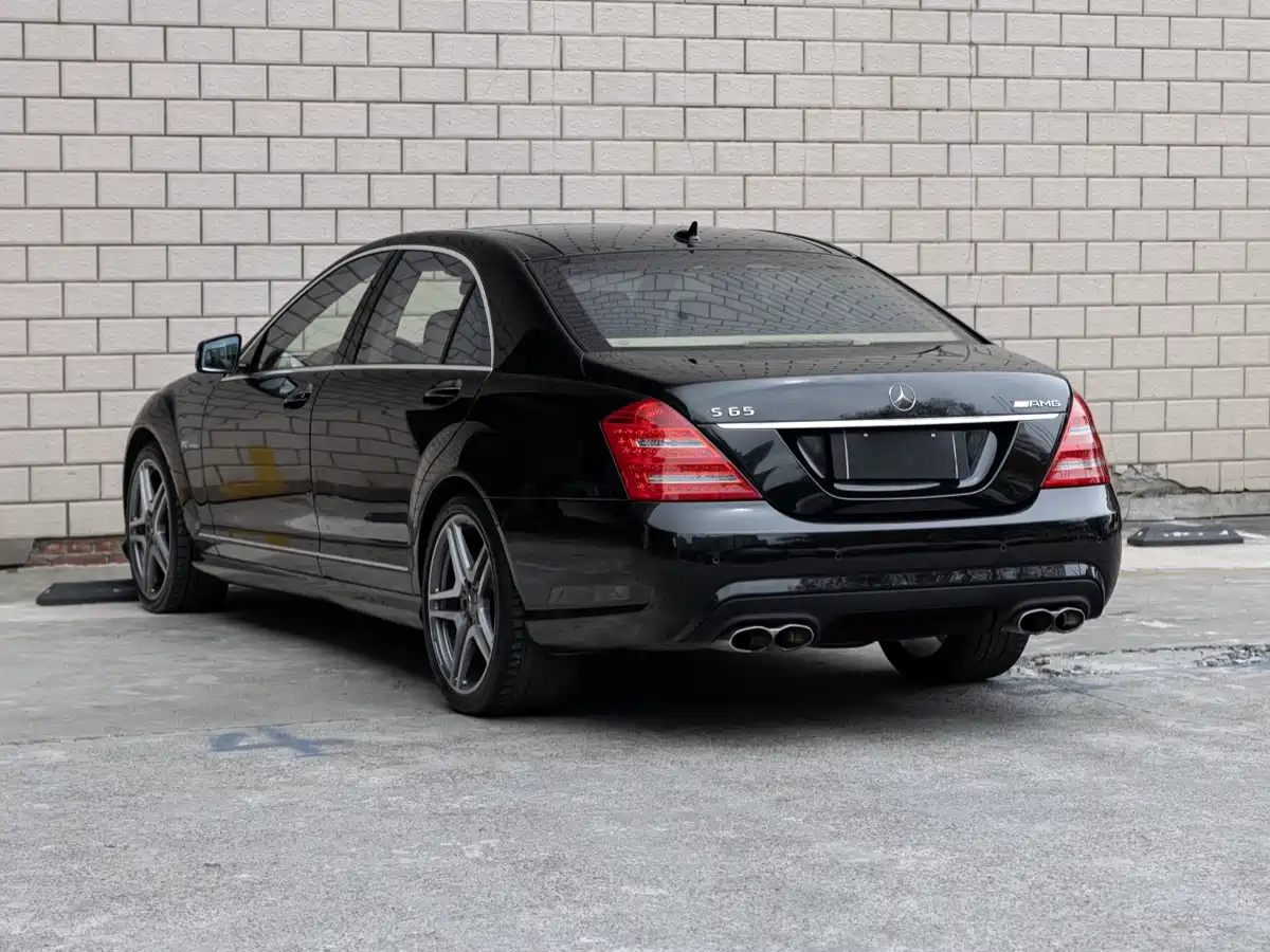 Mercedes-Benz S-Class AMG 2010 AMG S 65 фото 6