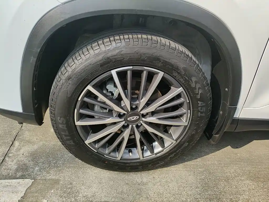 Chery Tiggo 8 PLUS 2024 2024 Champion Edition 290TGDI DCT Haoqing Version (5-seater)