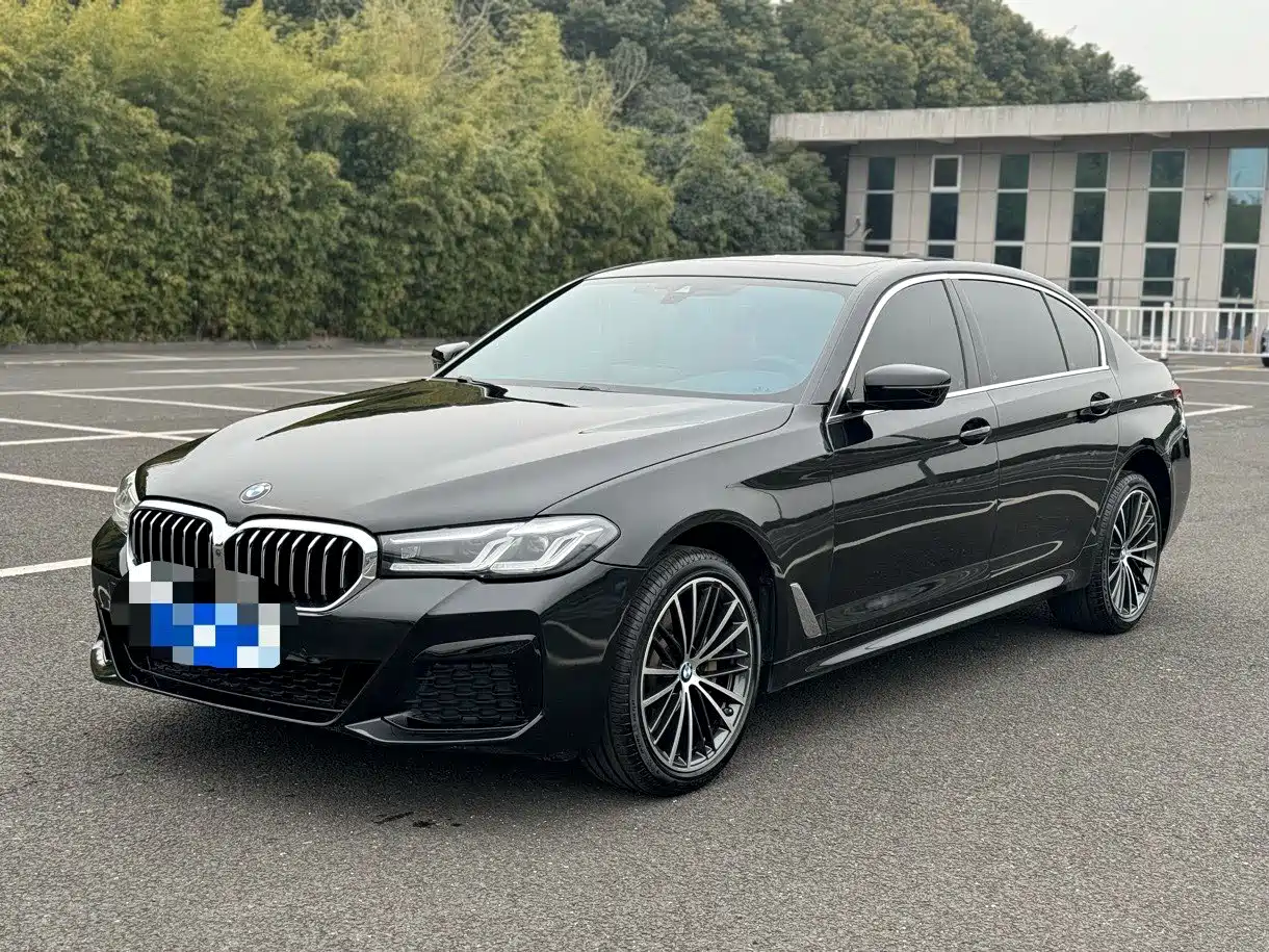 BMW 5 Series 2021 530Li xDrive M Sport Package фото 2