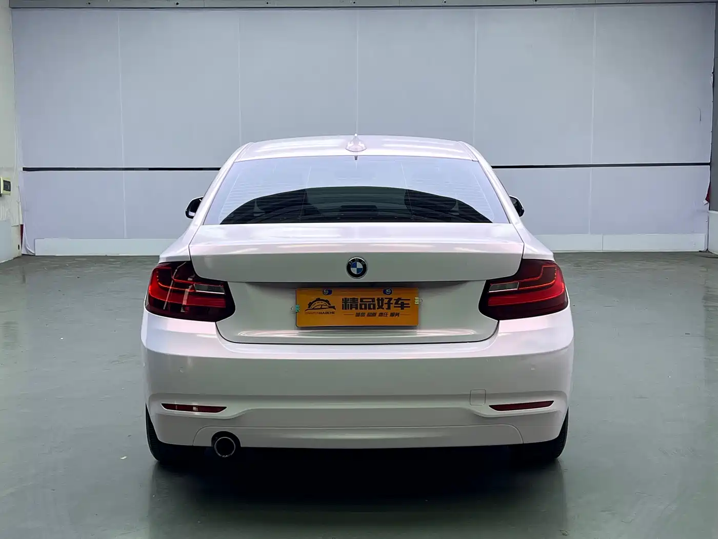 BMW 2 Series (Import) 2015 218i фото 6