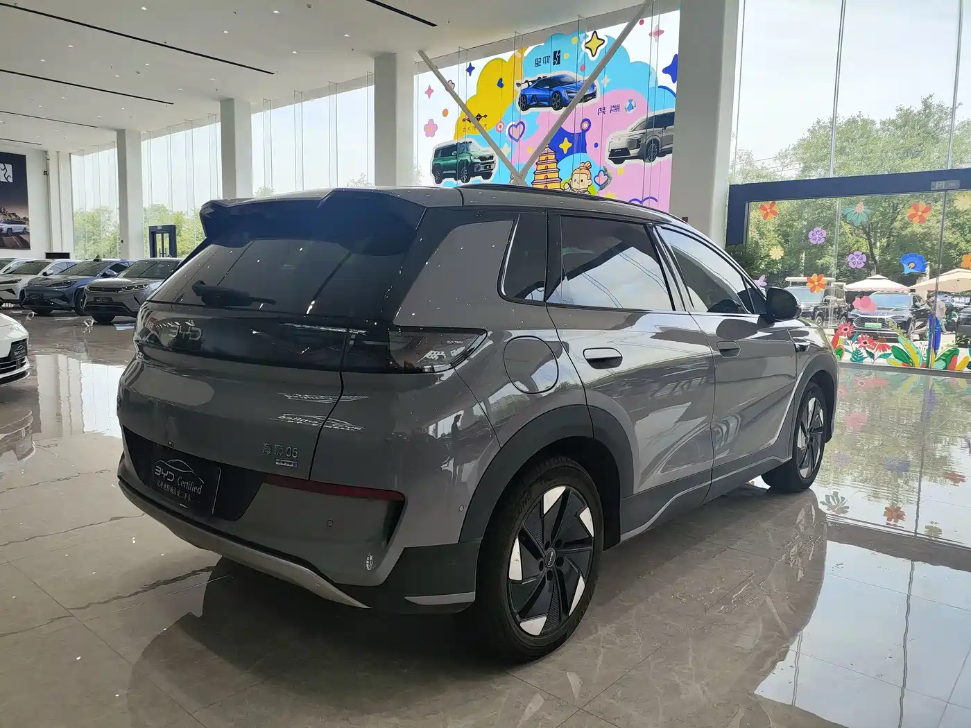 BYD Hai Shi 05 EV 2025 520KM Flagship Smart Navigation Edition фото 5