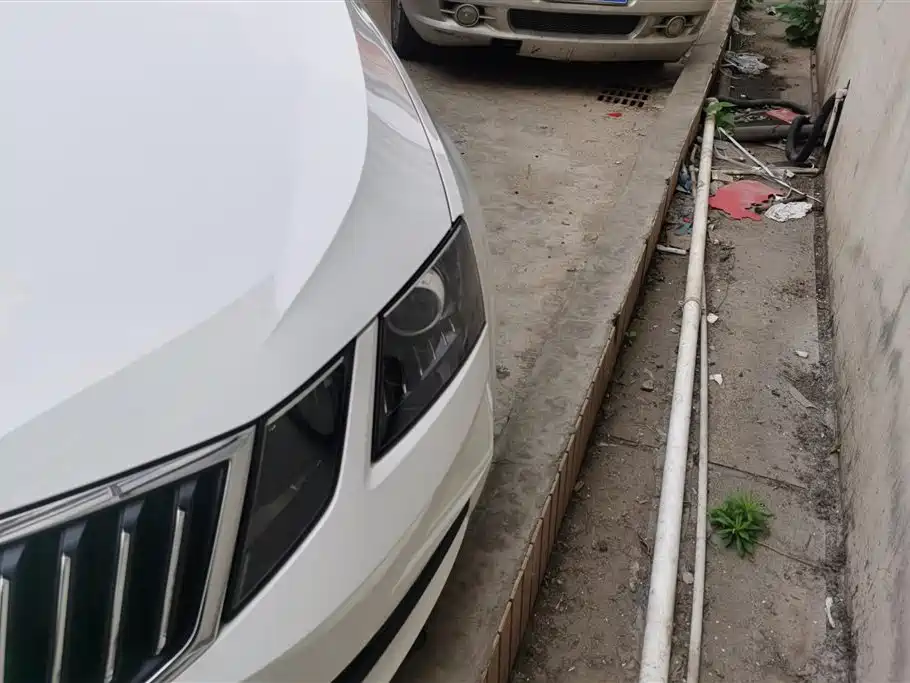 Škoda Octavia 2019 1.5L Auto Comfort Edition фото 5