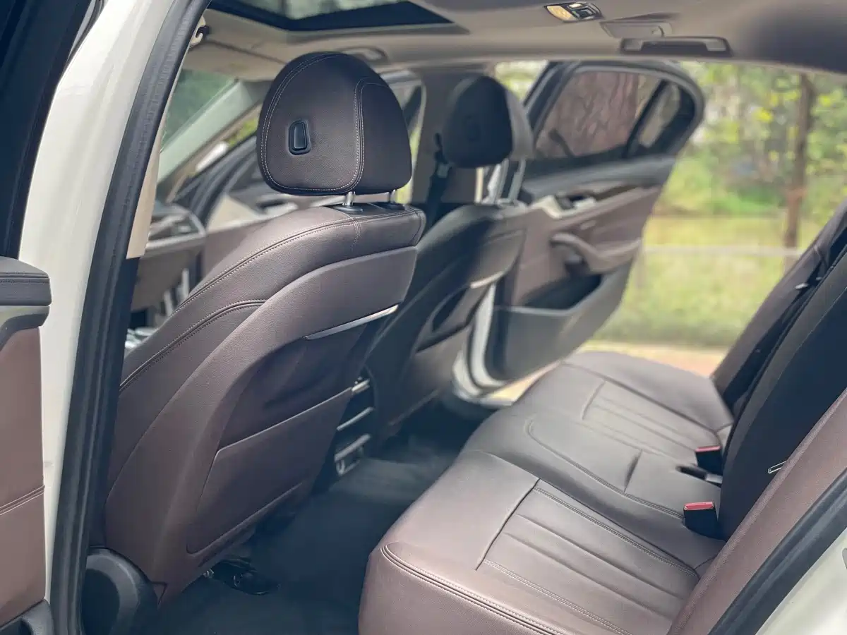 BMW 5 Series 2019 Facelift 525Li Luxury Package фото 40