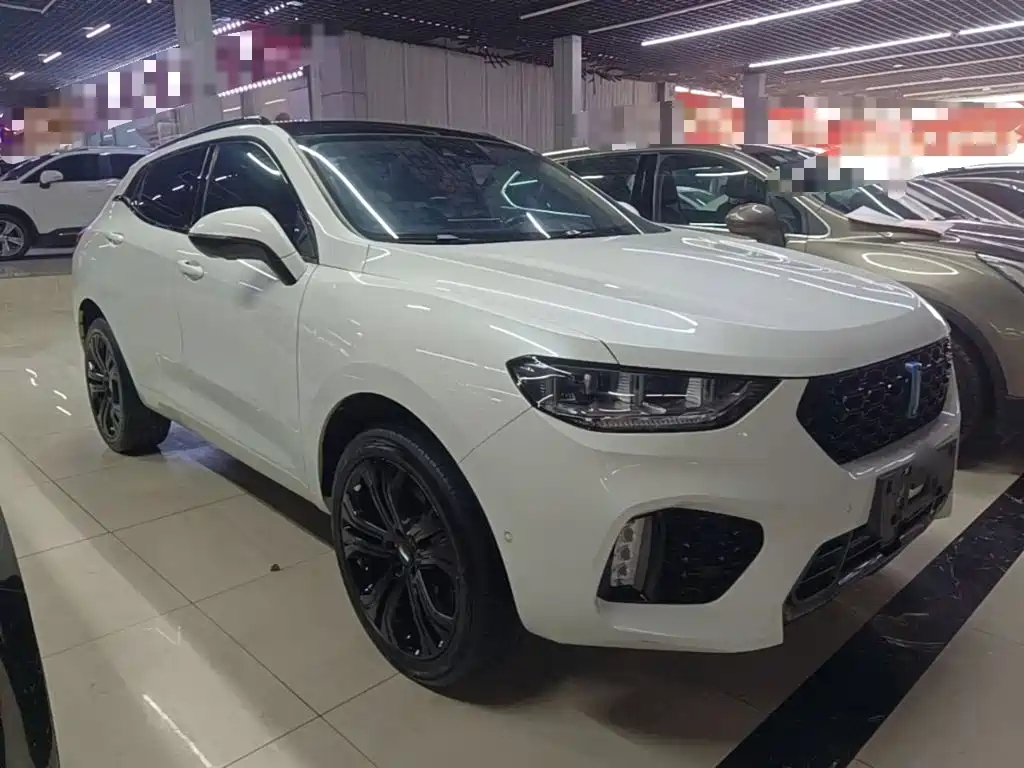 WEY VV5 2017 2017 2.0T Flagship Model