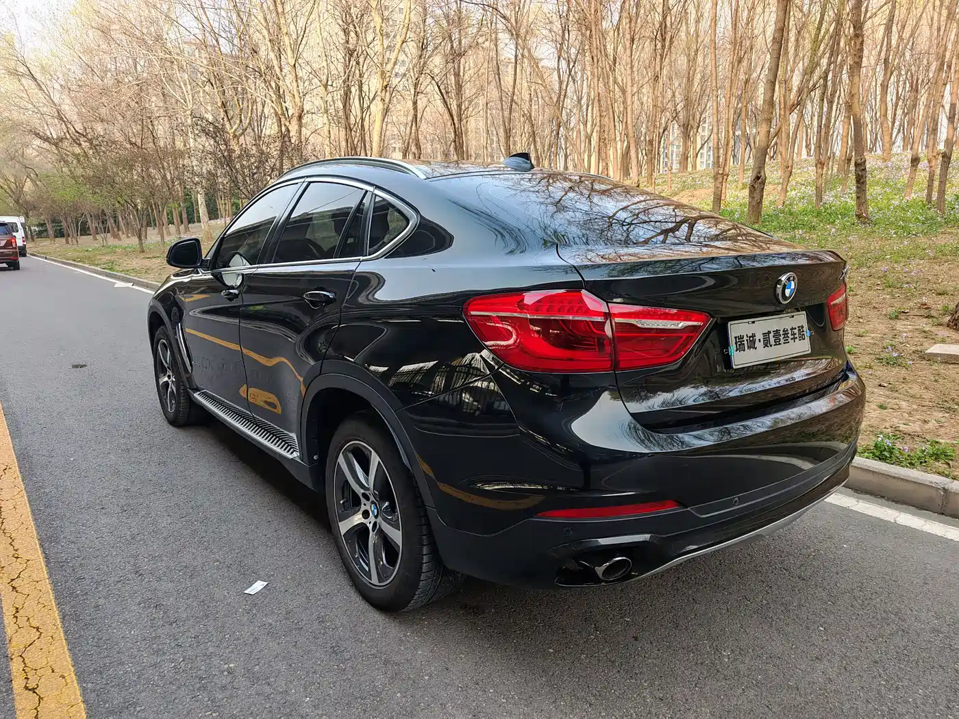 BMW X6 2015 xDrive35i Luxury Model фото 12