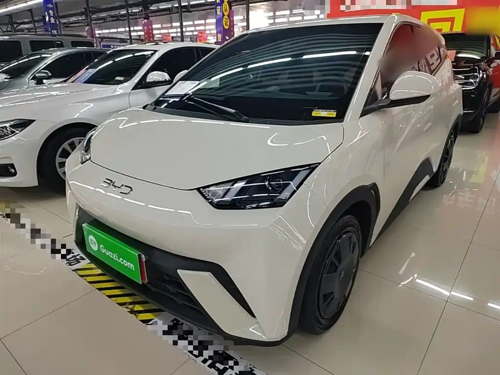 BYD Seagull 2025 305km Vitality
