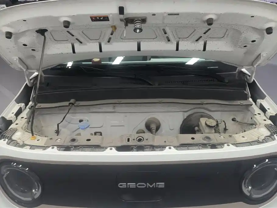 Geely Galaxy Panda 2023 Panda Mini 200km Endurance Bear фото 10