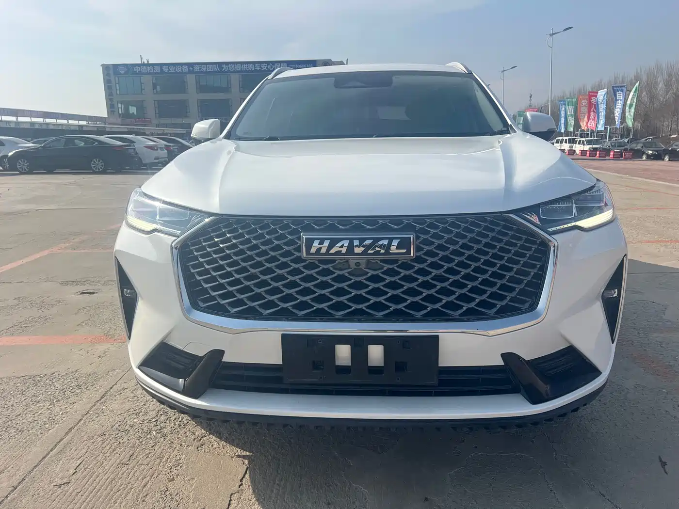 Haval H6 2022 3rd Gen 1.5T Auto 2WD Max фото 2