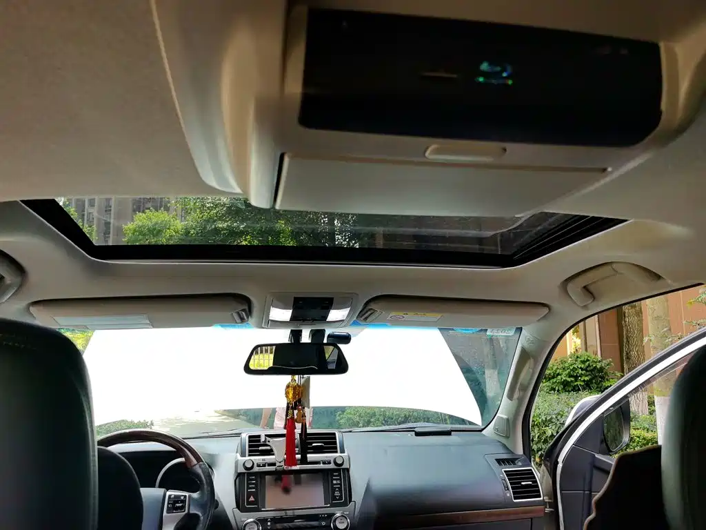 Фото 9 - Toyota Prado