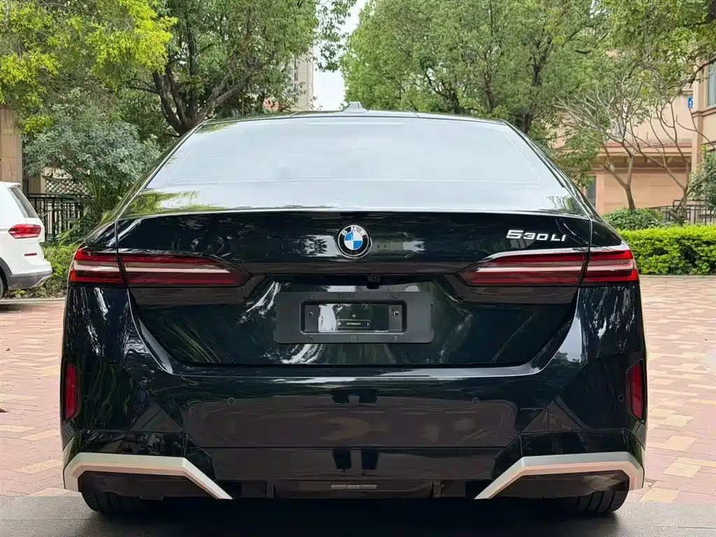 BMW 5 Series 2025 530Li Leading M Sport Package фото 8