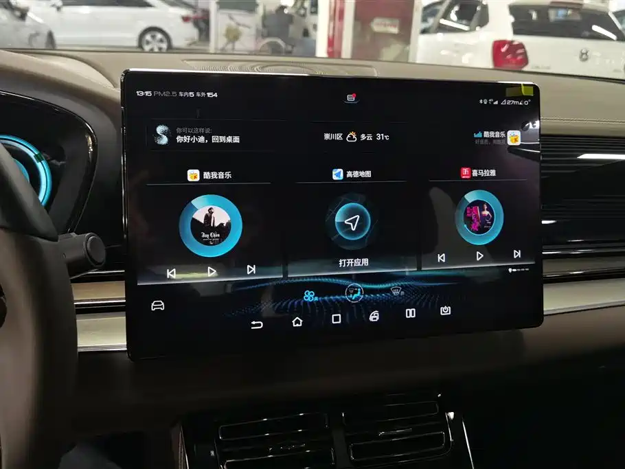 BYD Han 2021 EV Standard Range Luxury фото 13