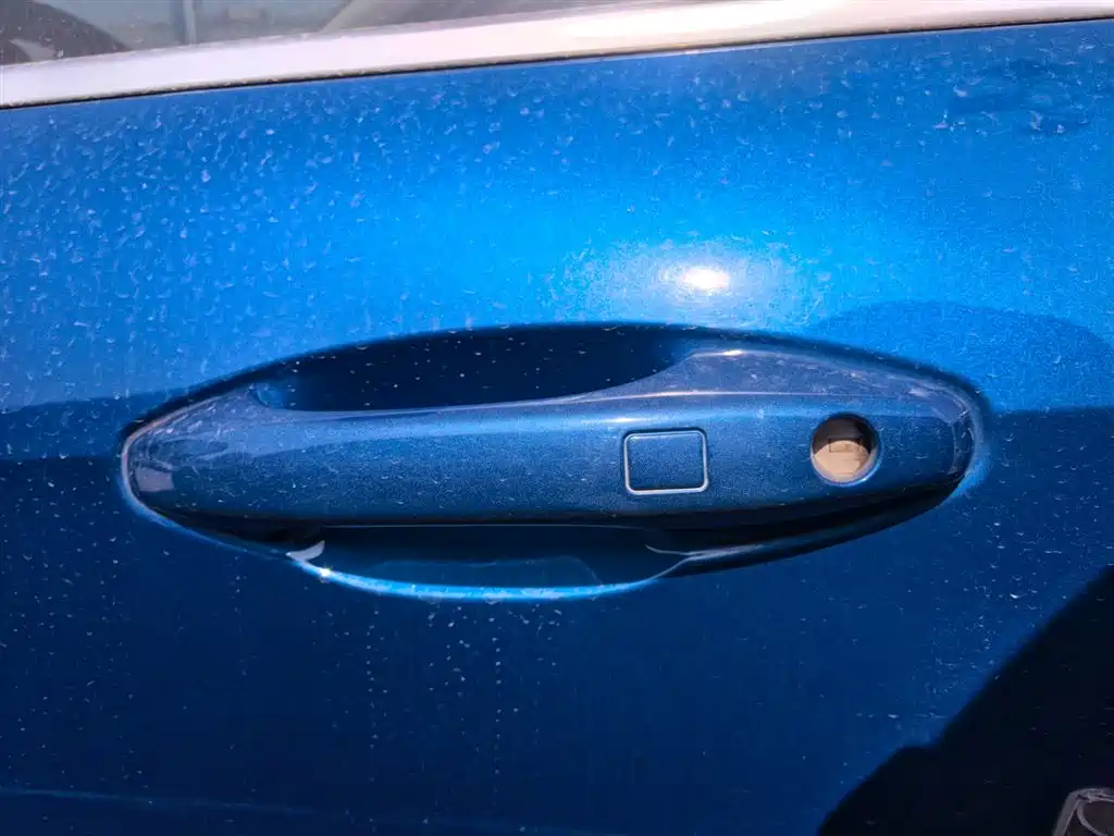 WEI PAI WEI BRAND VV5