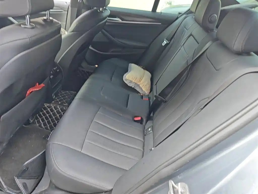 BMW 5 Series (Import) 2022 Facelift 525i M Sport Package фото 17