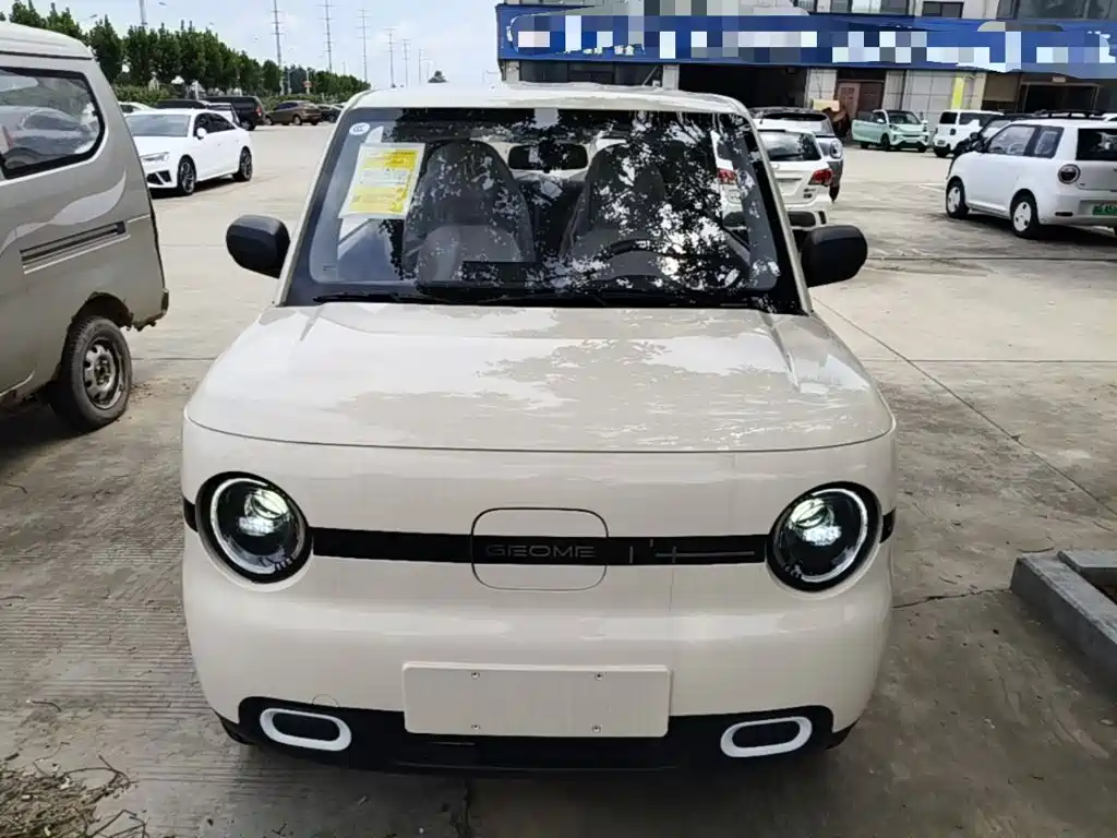Geely Galaxy Panda 2026 2025 Panda mini 210km Vitality Bear
