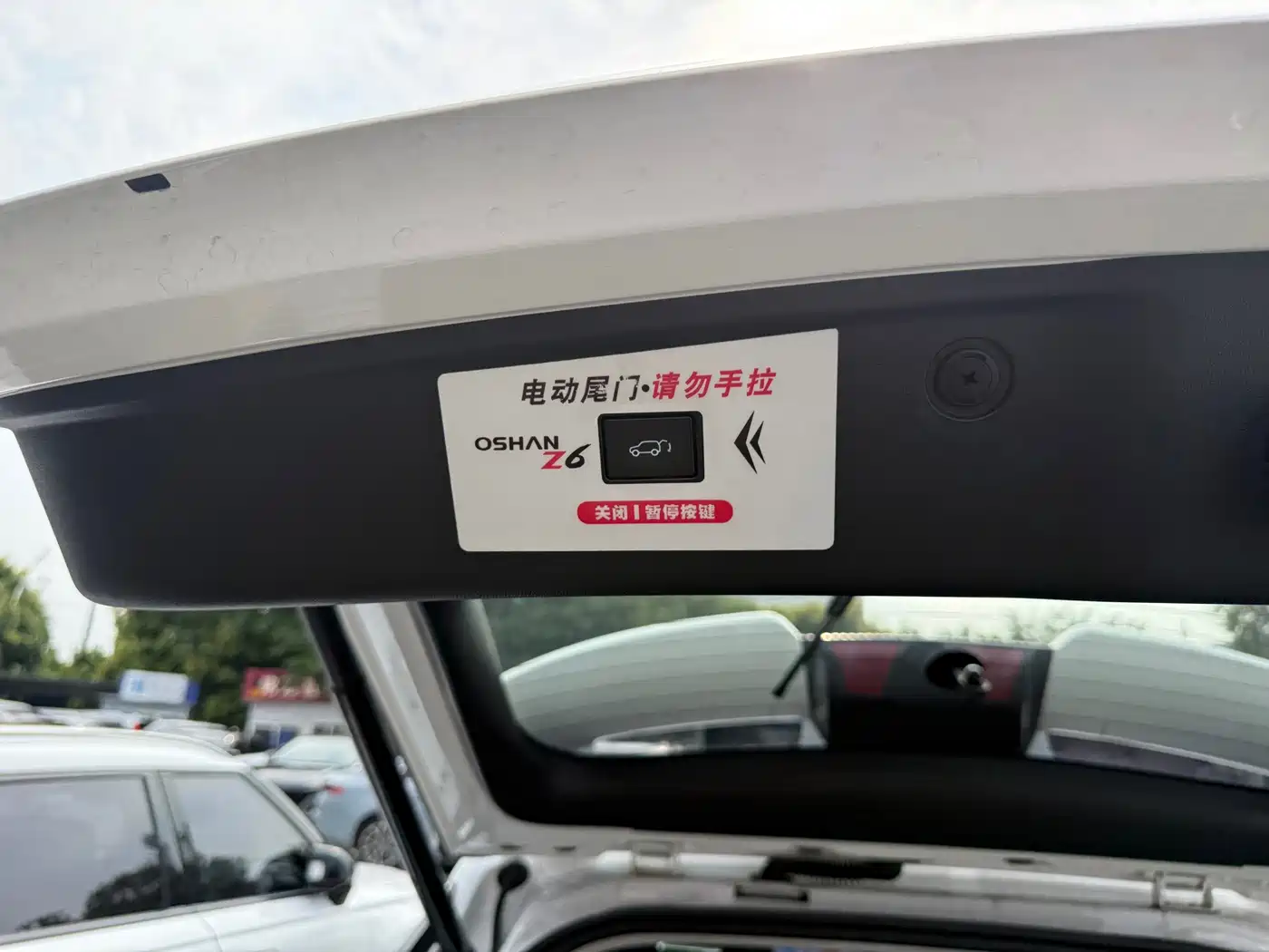 Changan Oshan Z6 2023 2023 Blue Whale 1.5T DCT Smart Leader