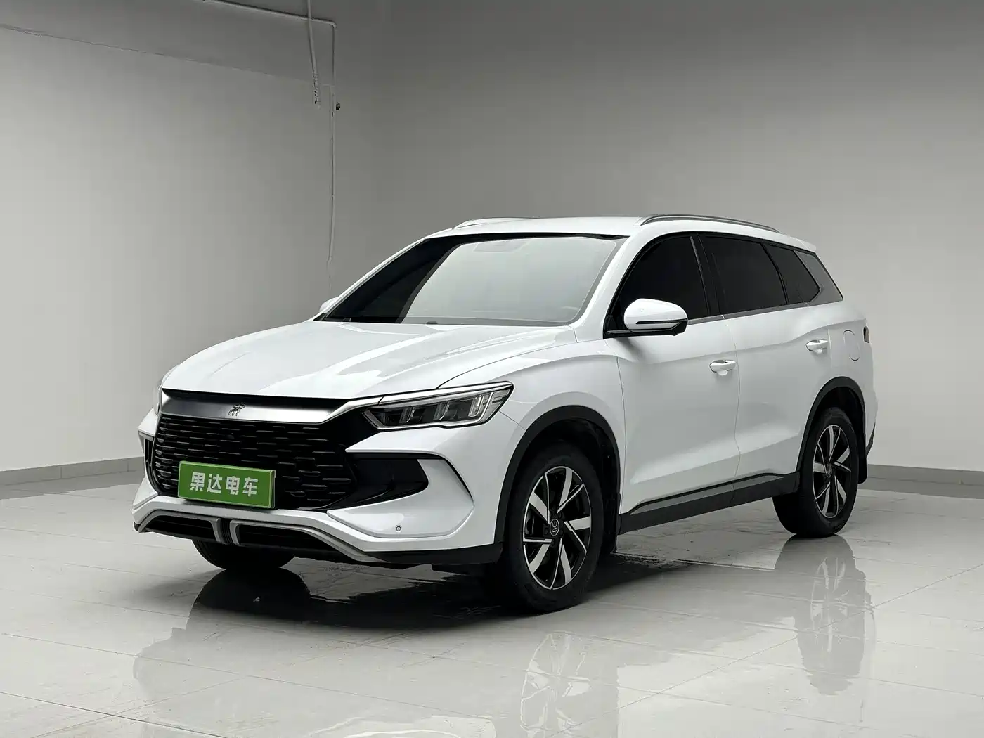 BYD Song Pro New Energy 2024 Glory Edition DM-i 71KM Pilot