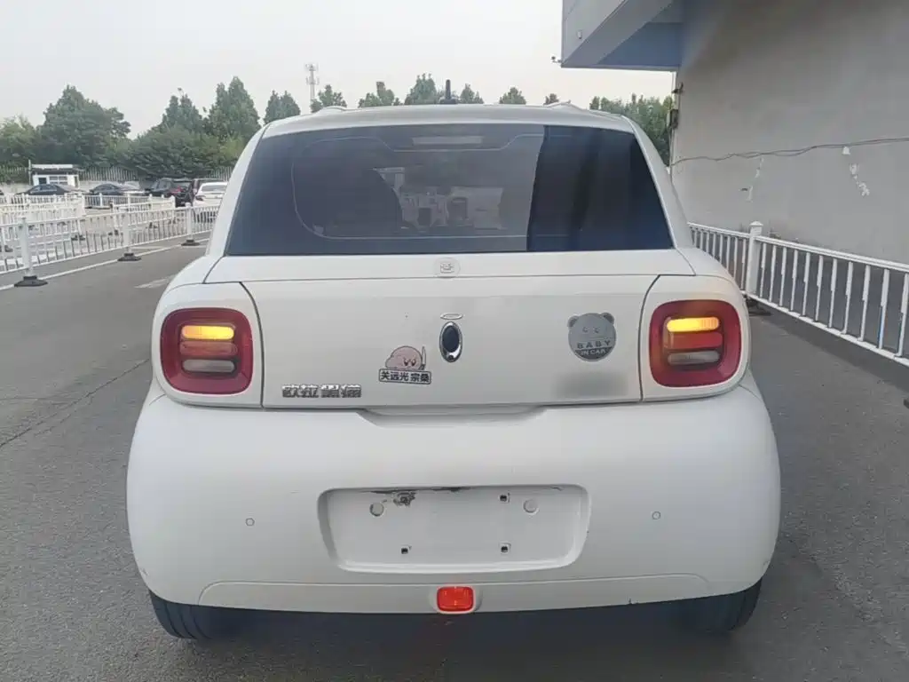 Ora Black Cat 2021 2021 351km Luxury Model