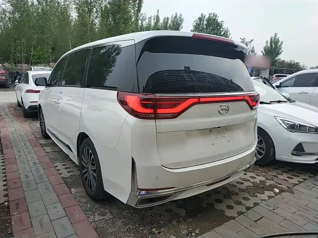 GAC Trumpchi Trumpchi M8 2021 Leading Show Series 390T Ultimate Edition фото 23