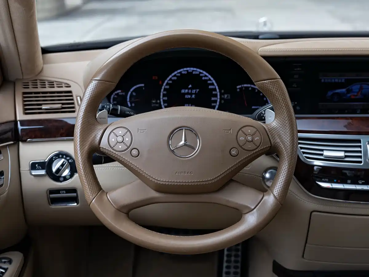 Mercedes-Benz S-Class AMG 2010 AMG S 65 фото 12