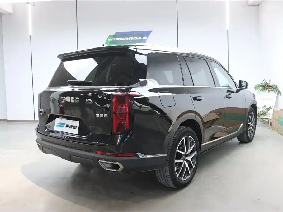 GAC Trumpchi Trumpchi GS8 2022 Pilot Series 2.0TGDI 2WD Luxury Smart Connect Edition (7-Seater) фото 3