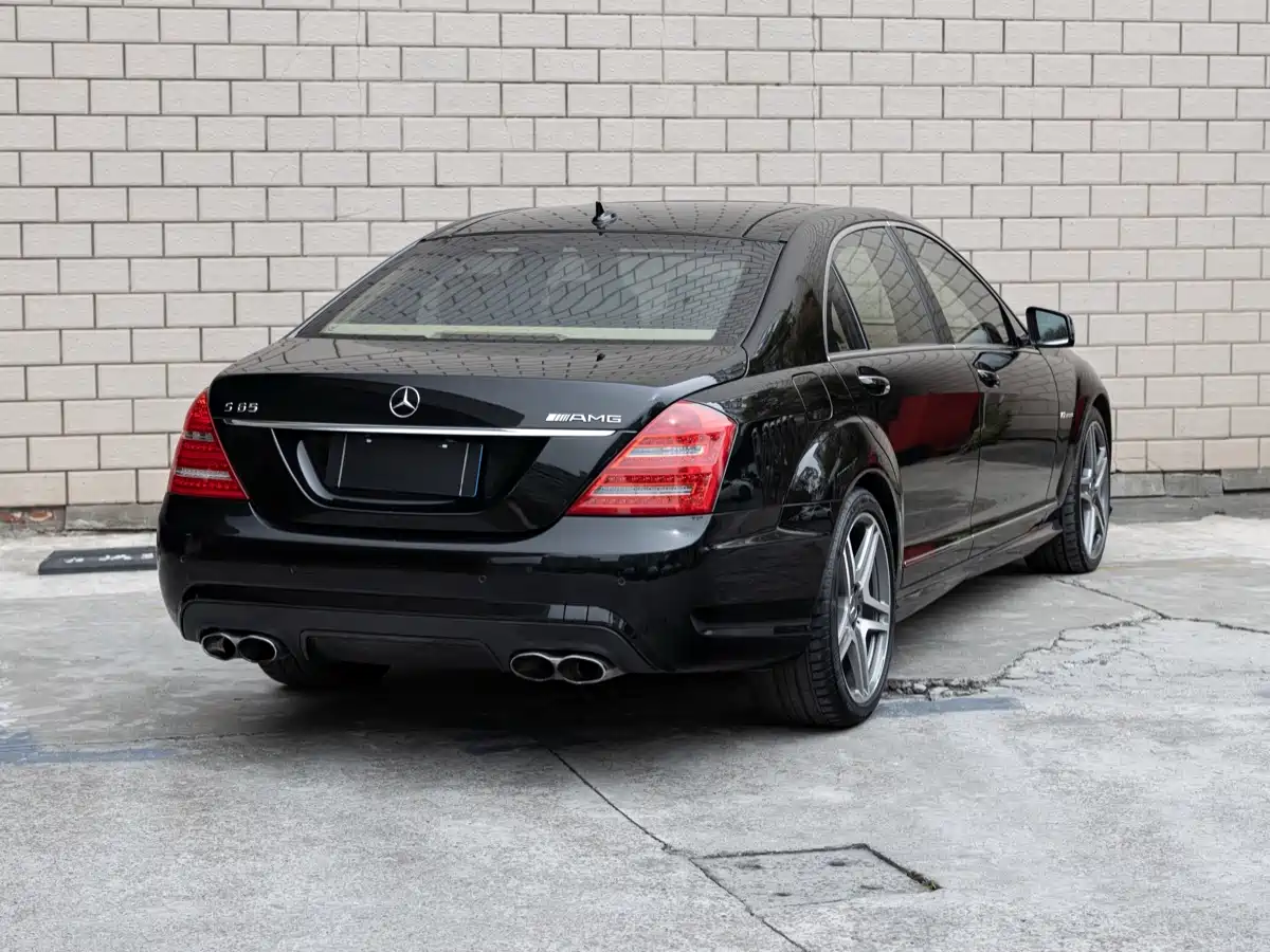 Mercedes-Benz S-Class AMG 2010 AMG S 65 фото 4