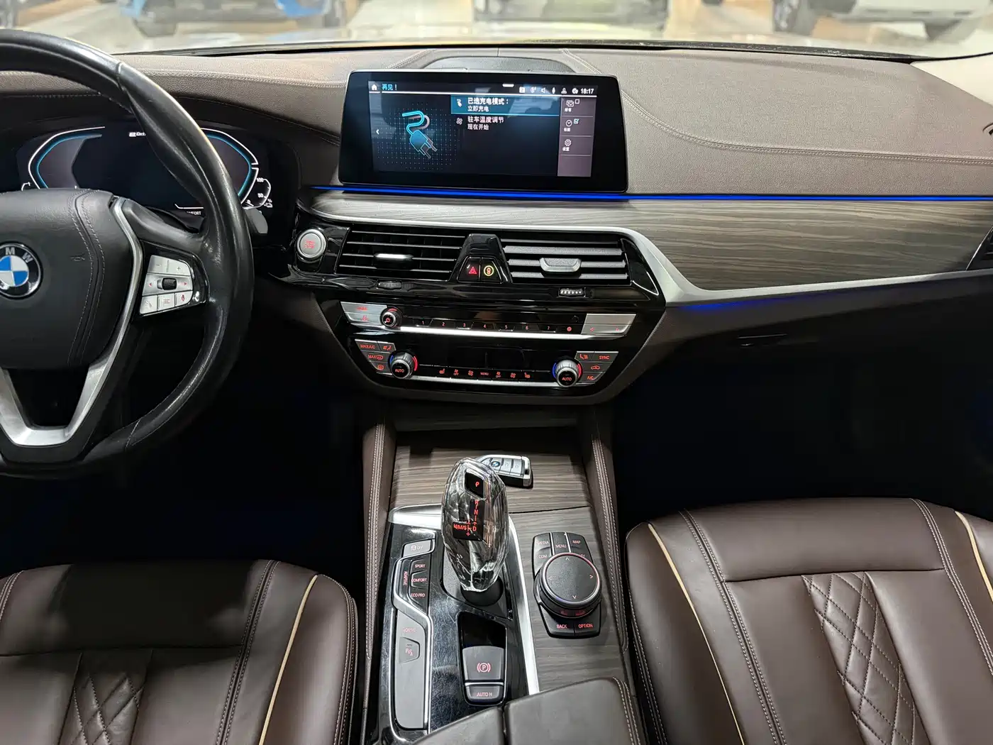 BMW 5 Series New Energy 2020 530Le Luxury Package фото 14