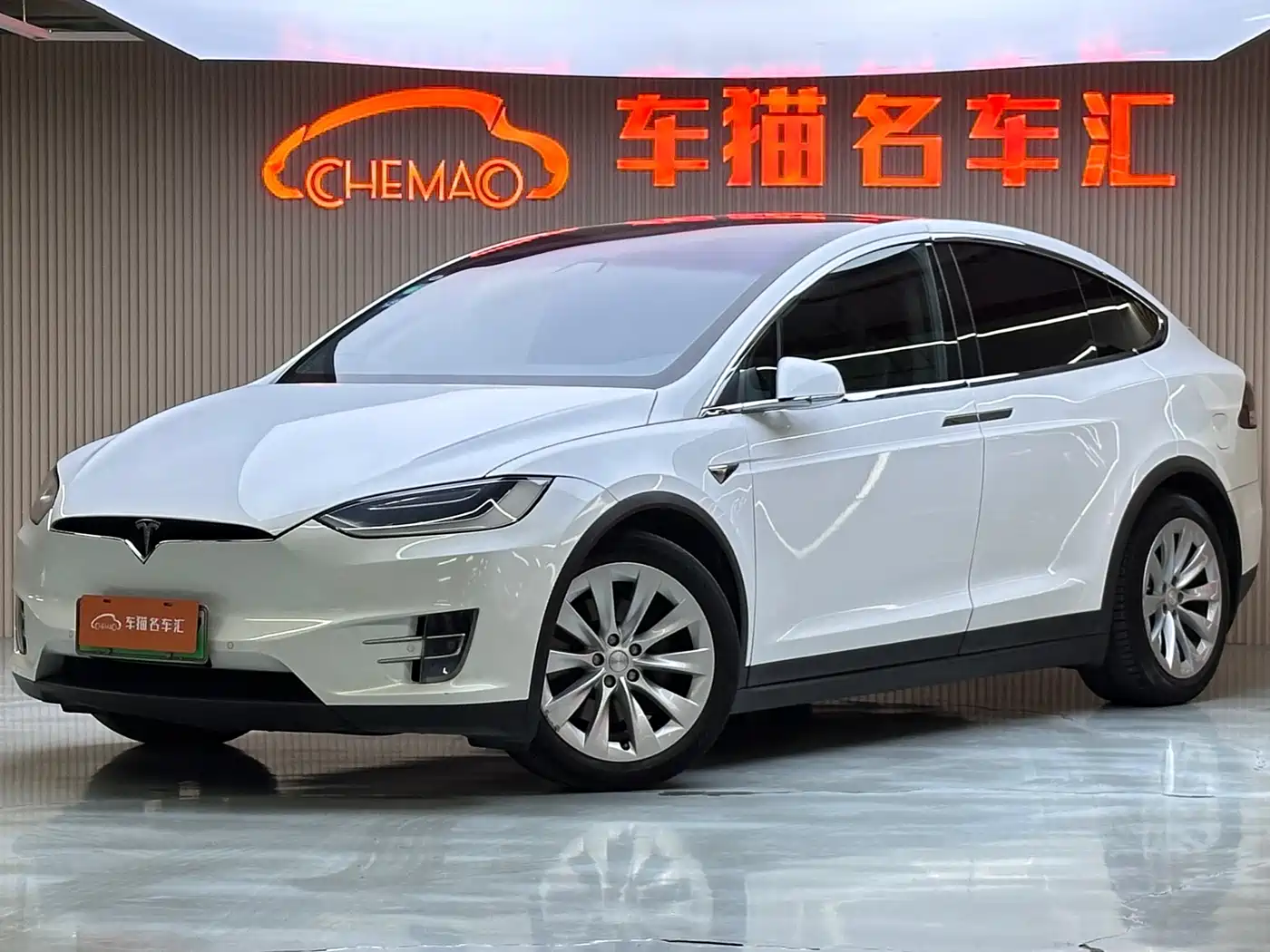 TESLA MODEL X