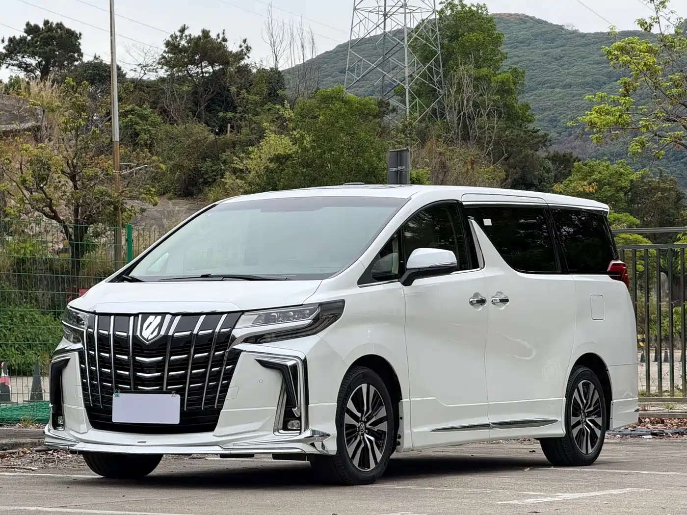 Toyota Alphard 2018 3.5L Premium фото 2