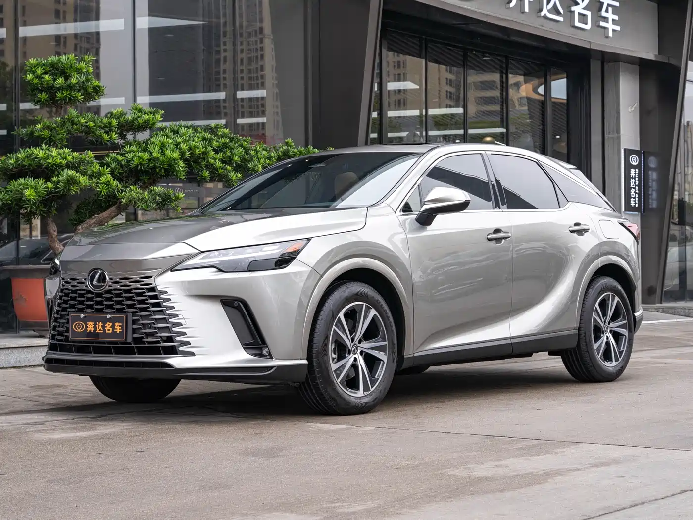 Lexus RX 2025 300 4WD Premium Edition