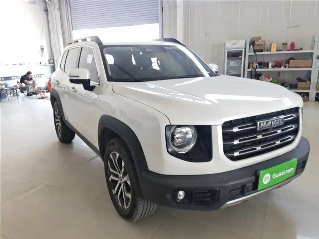 Haval Big Dog 2022 1.5T DCT FWD Border Collie Edition фото 4