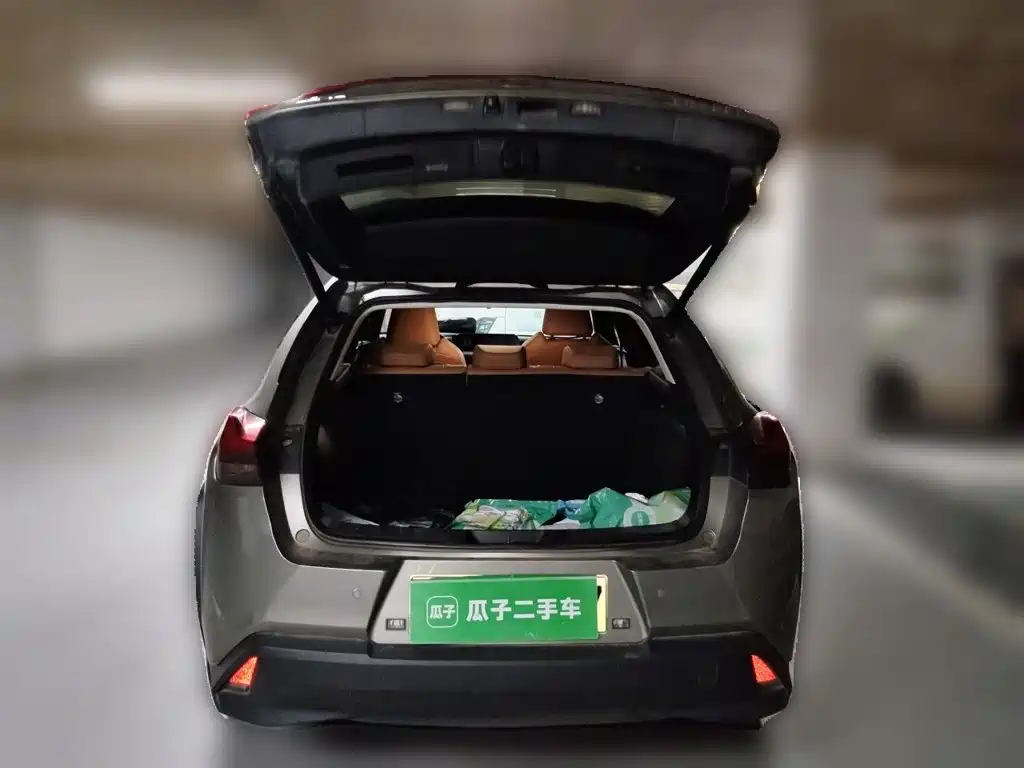 صورة 10 - Lexus UX Electric