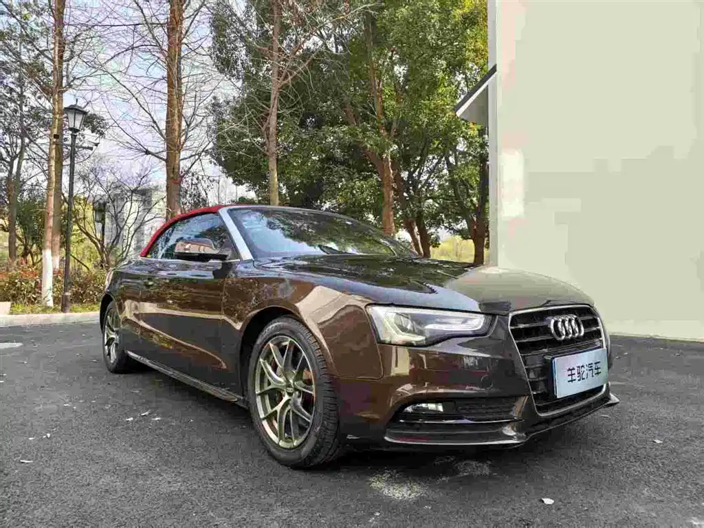Audi A5 (Import) 2012 2.0TFSI Cabriolet фото 17