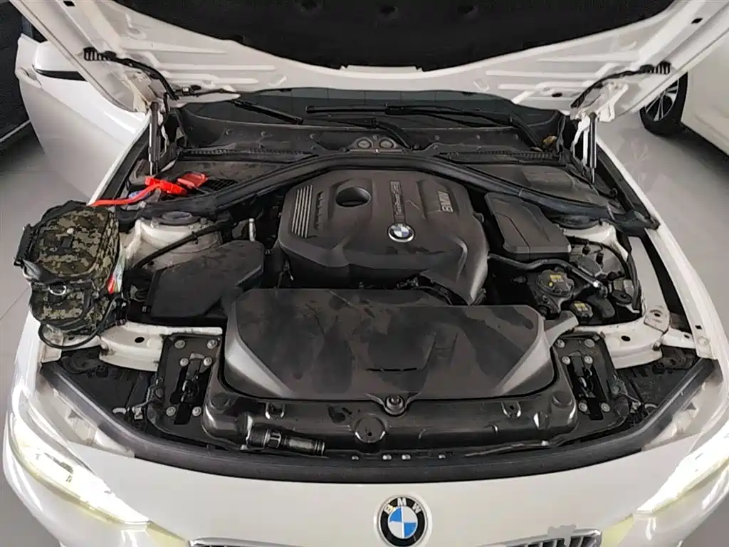 BMW 3 Series 2018 320Li Fashion Style фото 20