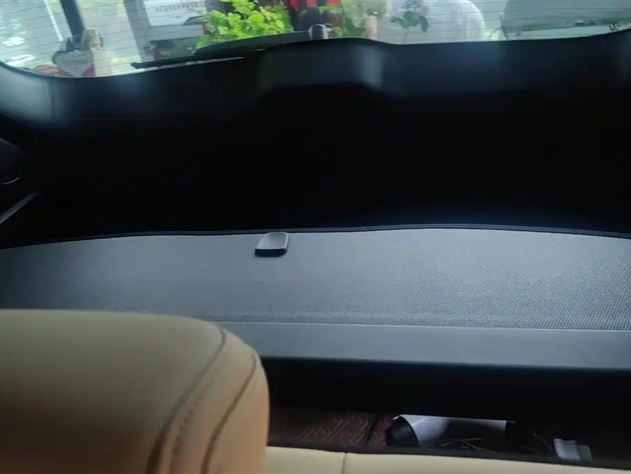 BYD Song L DM-i 2024 112km Leading Edition фото 4