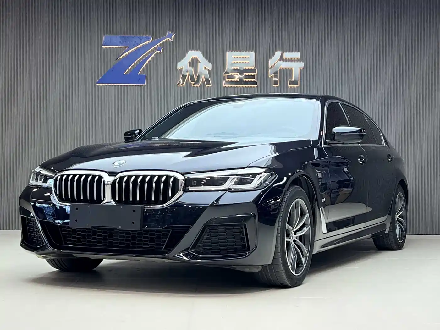 BMW 5 SERIES NEW ENERGY