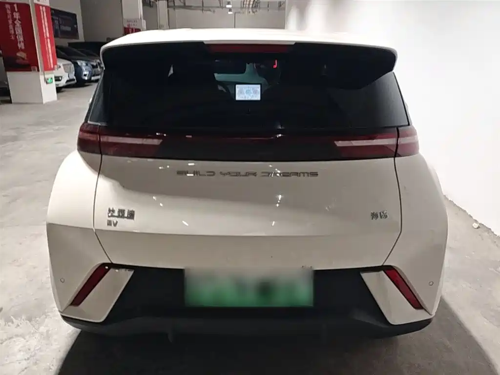 BYD Seagull 2023 Vitality Edition фото 6