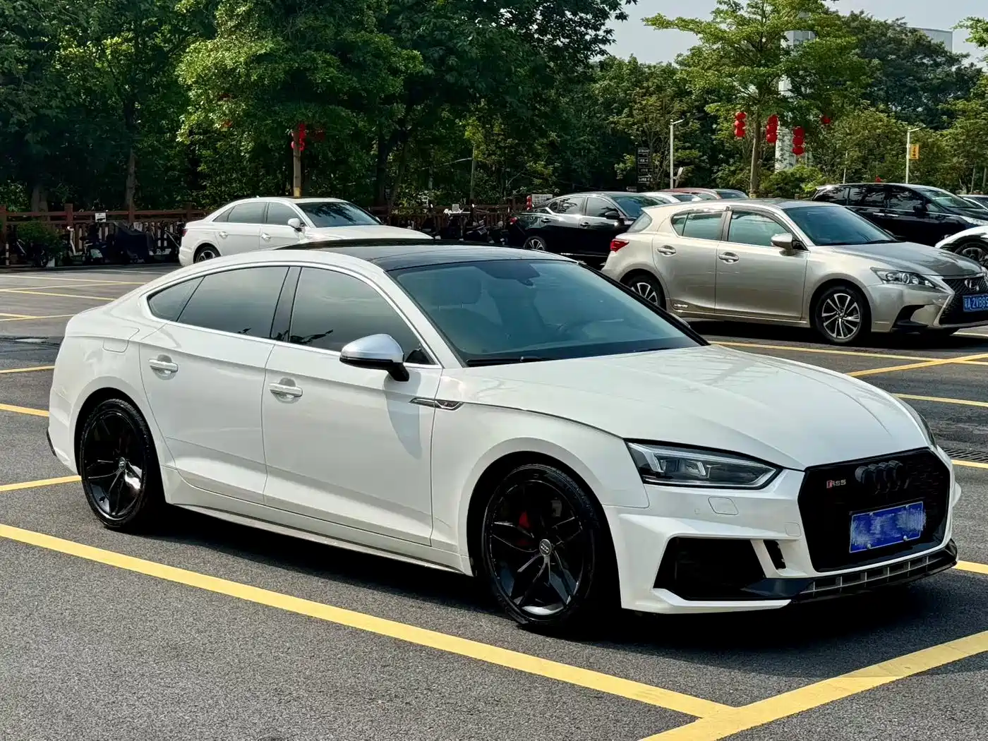 Audi A5 (Import) 2017 Coupe 40 TFSI Style фото 3
