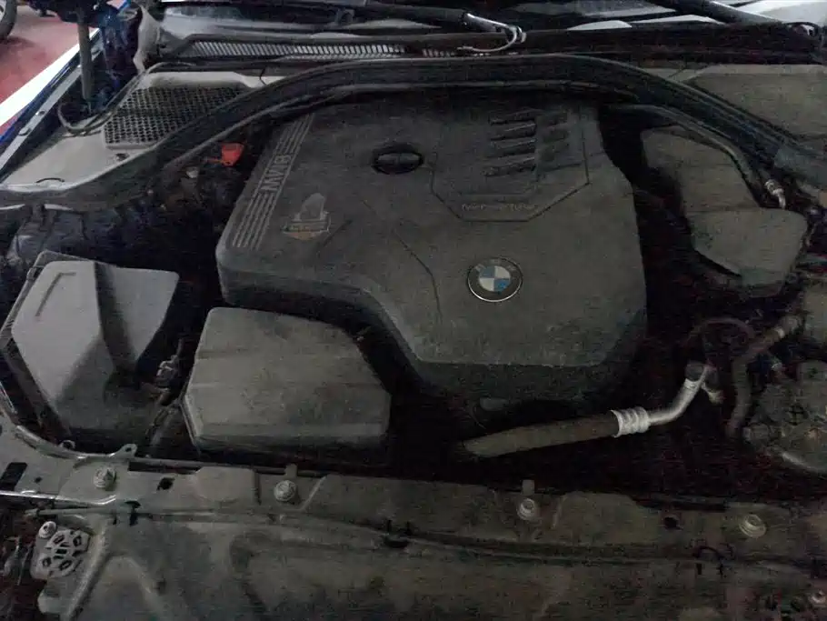 BMW 3 Series 2020 320Li M Sport Package фото 10