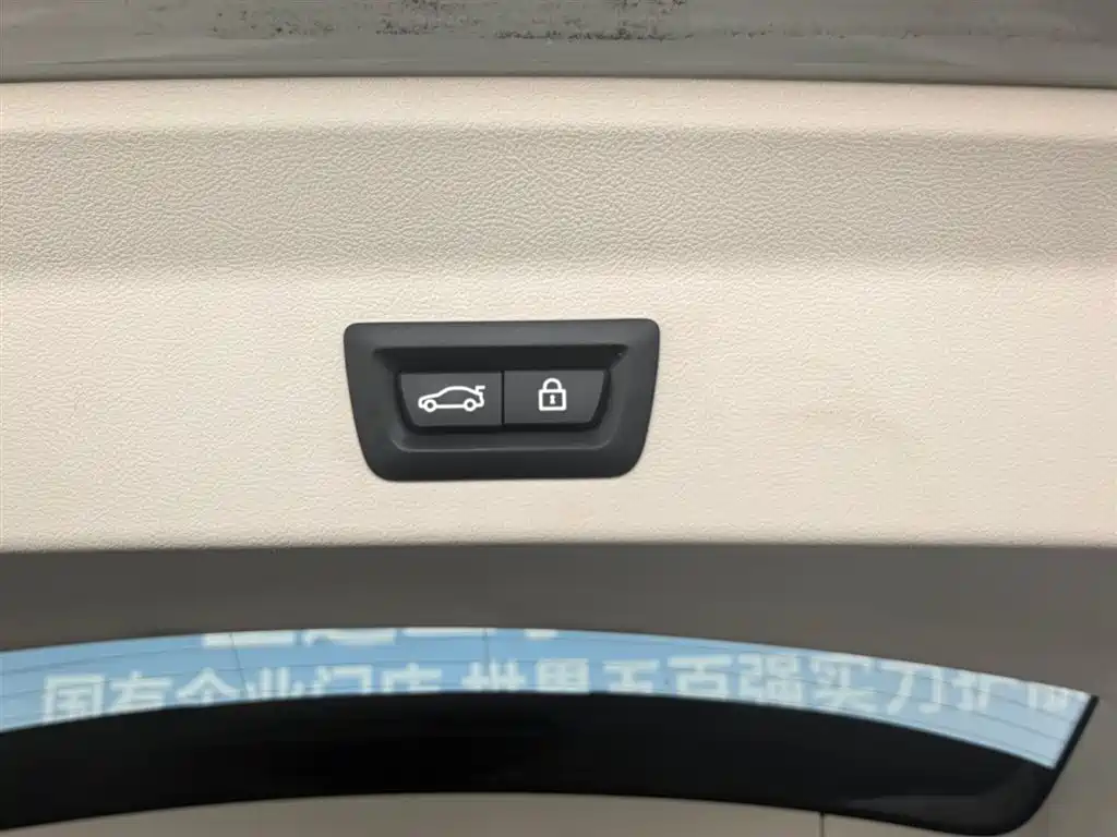 BMW iX3 2021 2021 Pioneer