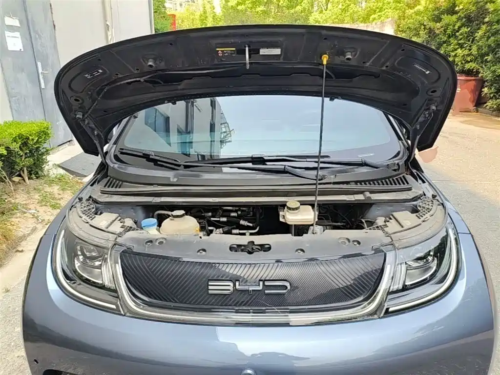 BYD Dolphin 2023 401km Knight Edition фото 20