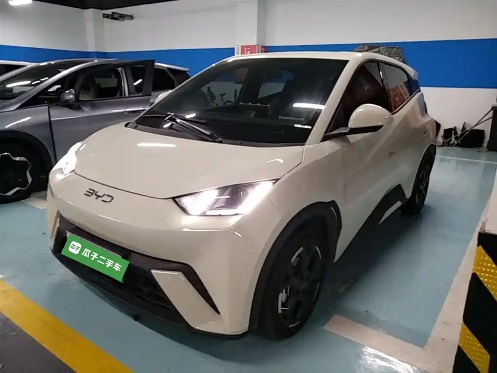 BYD Seagull 2024 Glory Edition 305km Vitality Edition фото 2