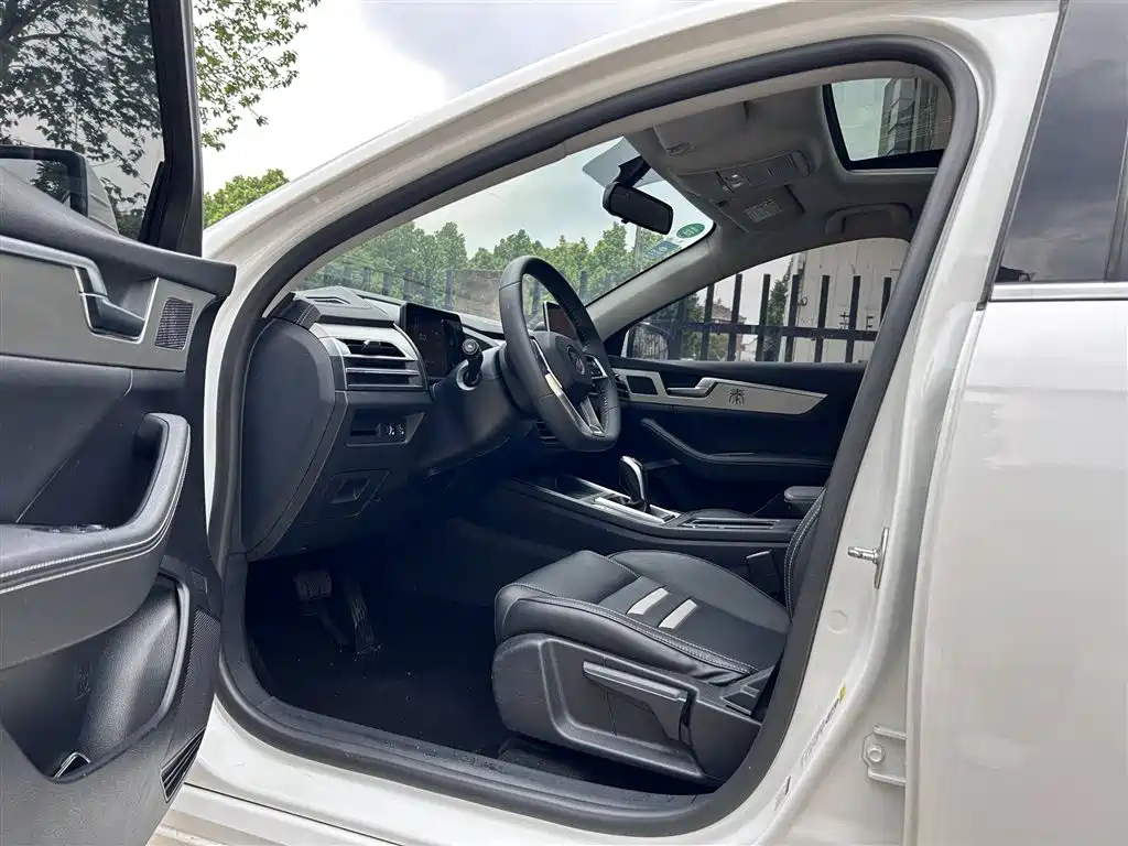 BYD Qin Pro 2019 Super Edition 1.5TI Automatic Smart Connected Feng Shang Type China VI фото 13