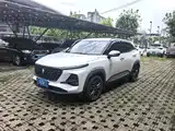 Фото 1 - Baojun RS-3