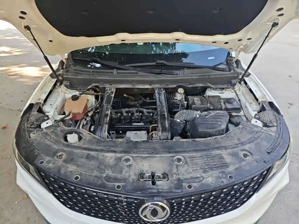 Dongfeng Fengguang Fengguang ix5 2019 2019 220T CVT Zhi Shang China VI